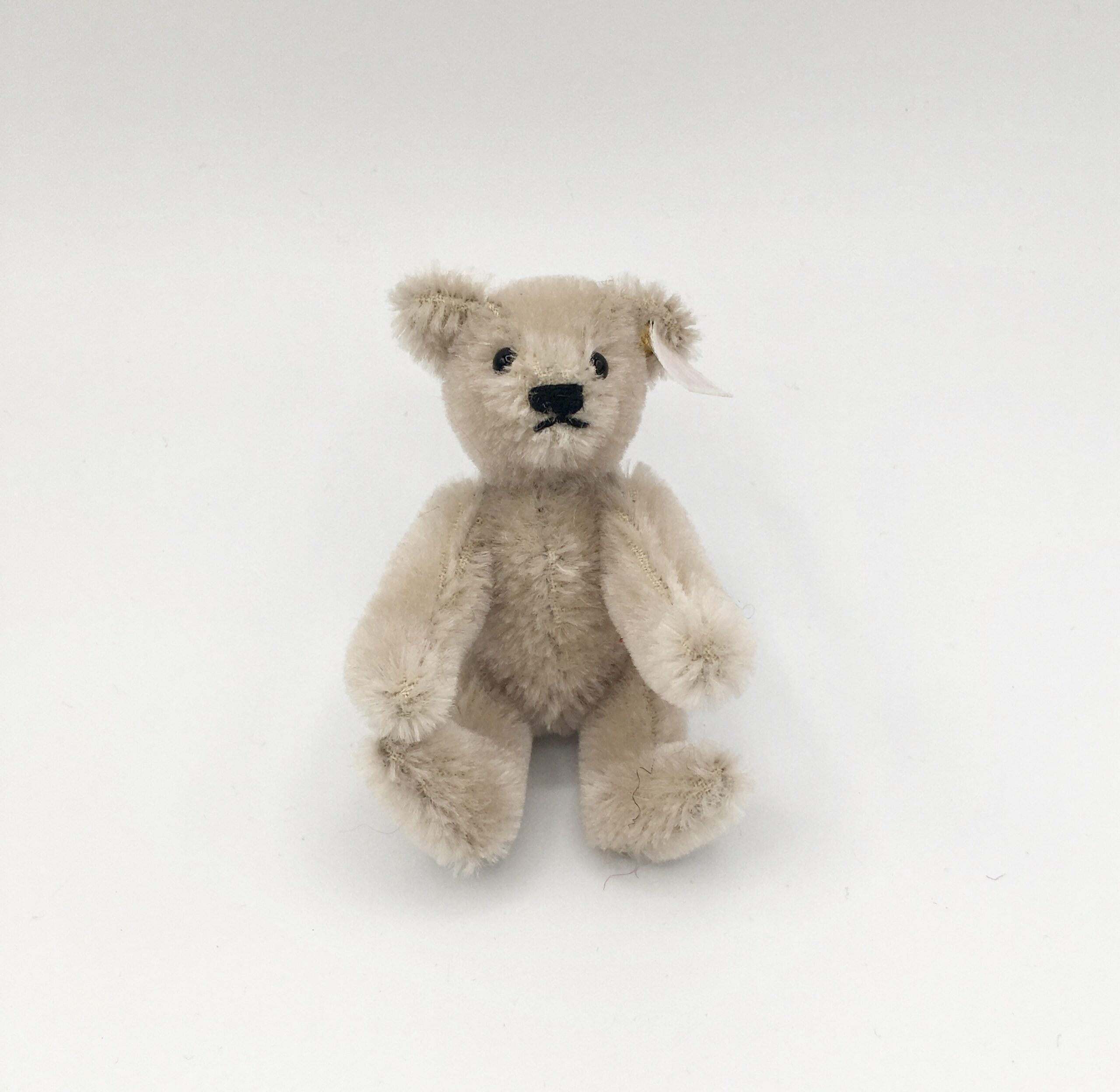 grey steiff bear